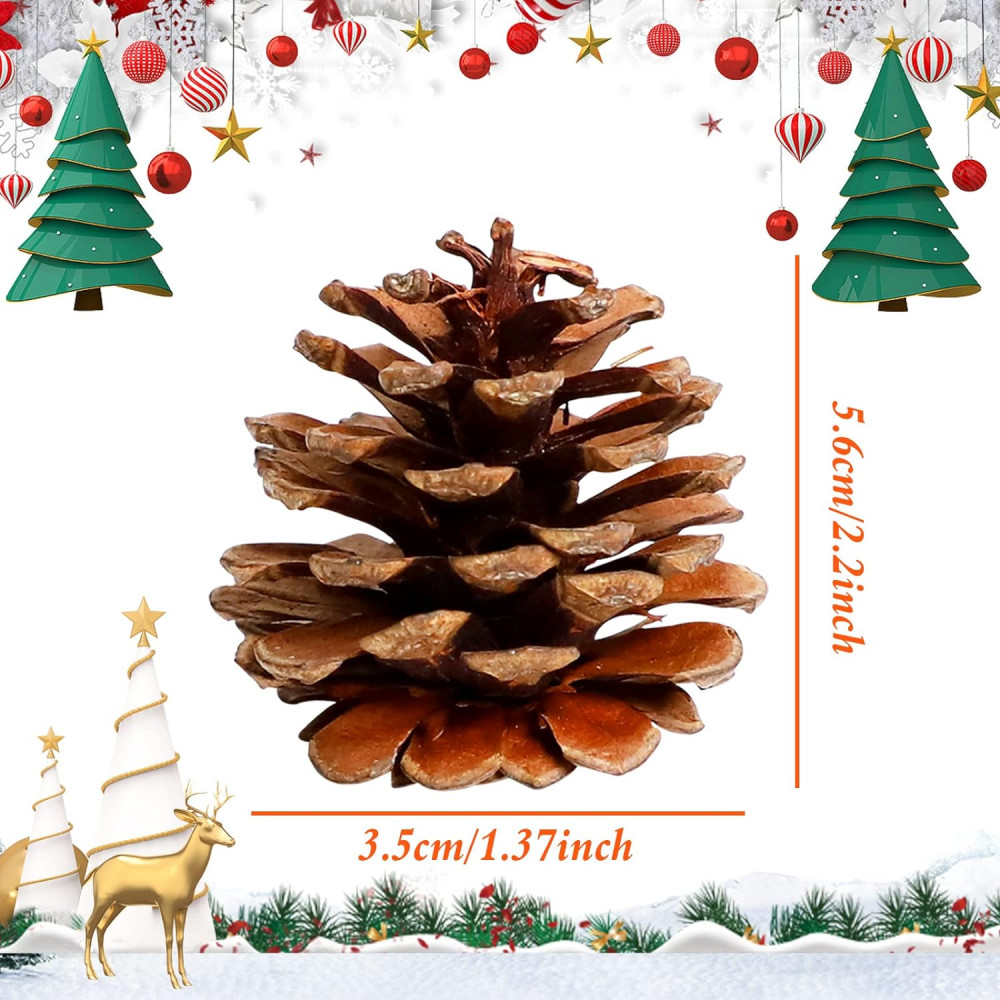 YADIMI 18 darabos Karácsonyi Természetes Fenyőtoboz Dekoráció, Otthoni Textil DIY Kézművesekhez és Téli Díszítéshez Újracsomagolt termék