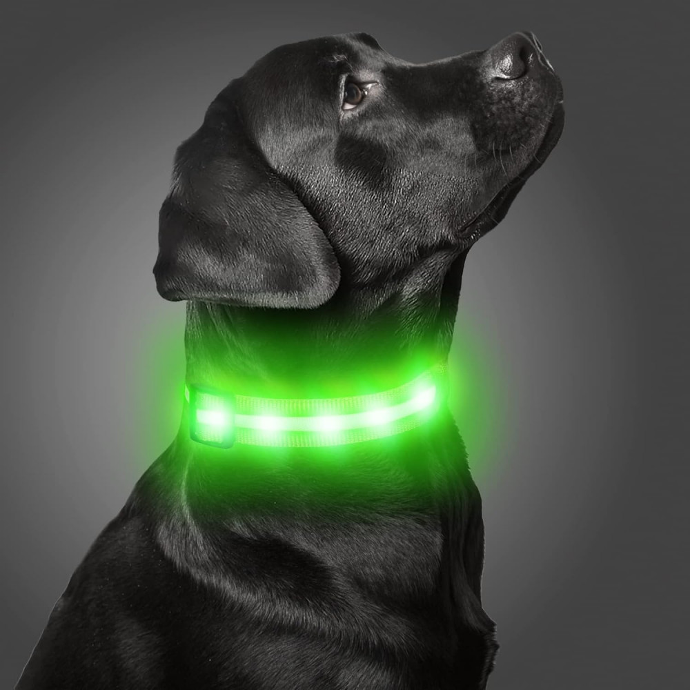 LED AirTag Kutyanyakörv Világító Biztonsági záras, XS, Zöld